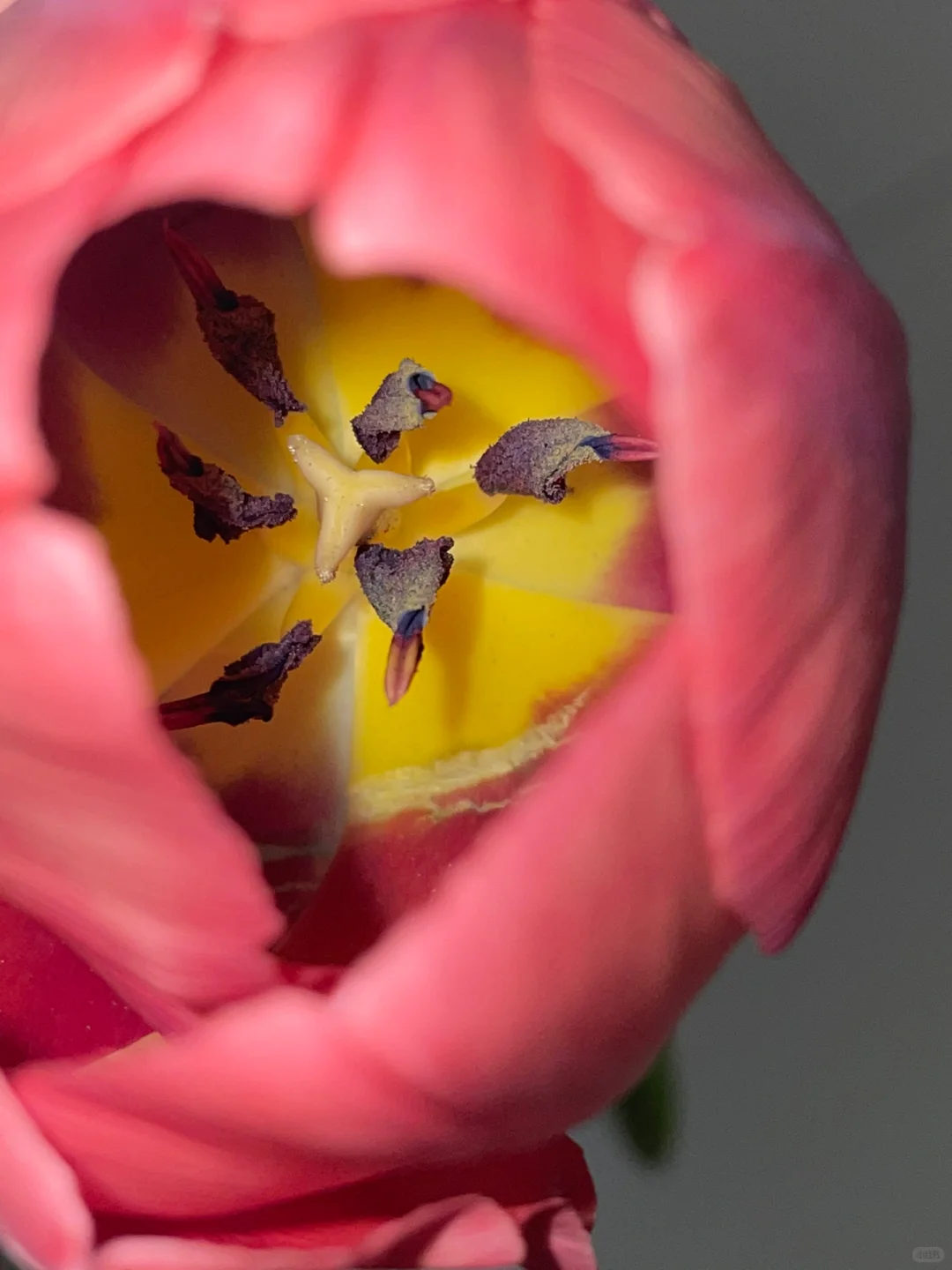 该怎么去形容你的美