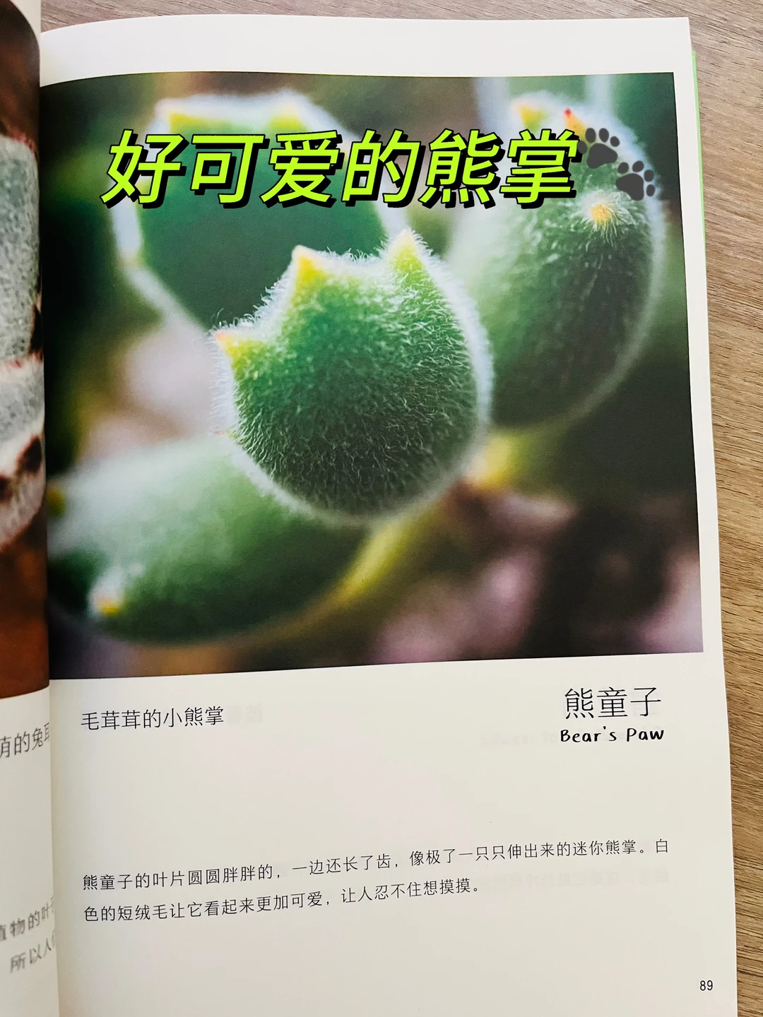 等了一年😭热销60万的小自然终于出续集了