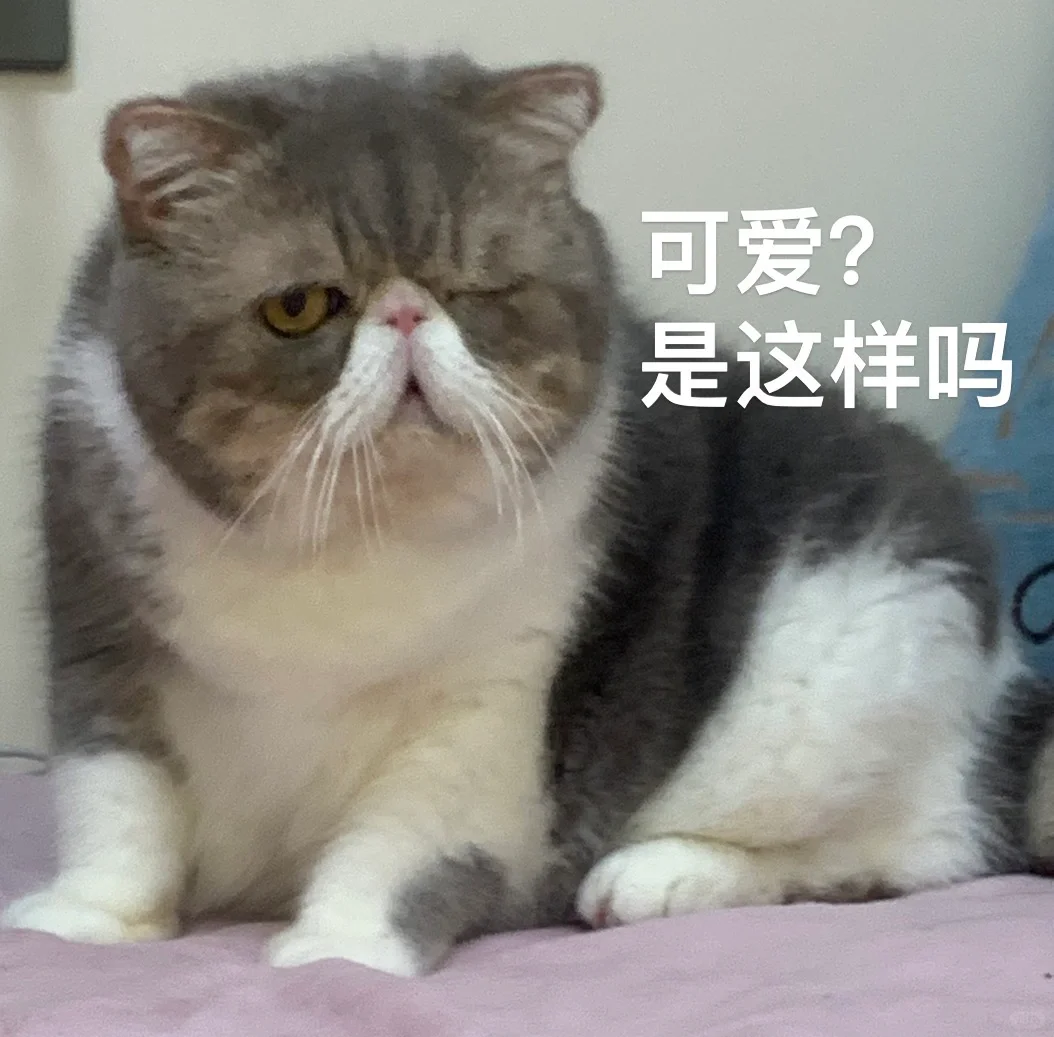 这媚眼也不是一定要抛