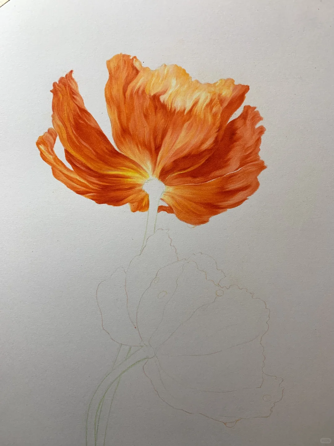 完成✅这次认真记录了画的步骤