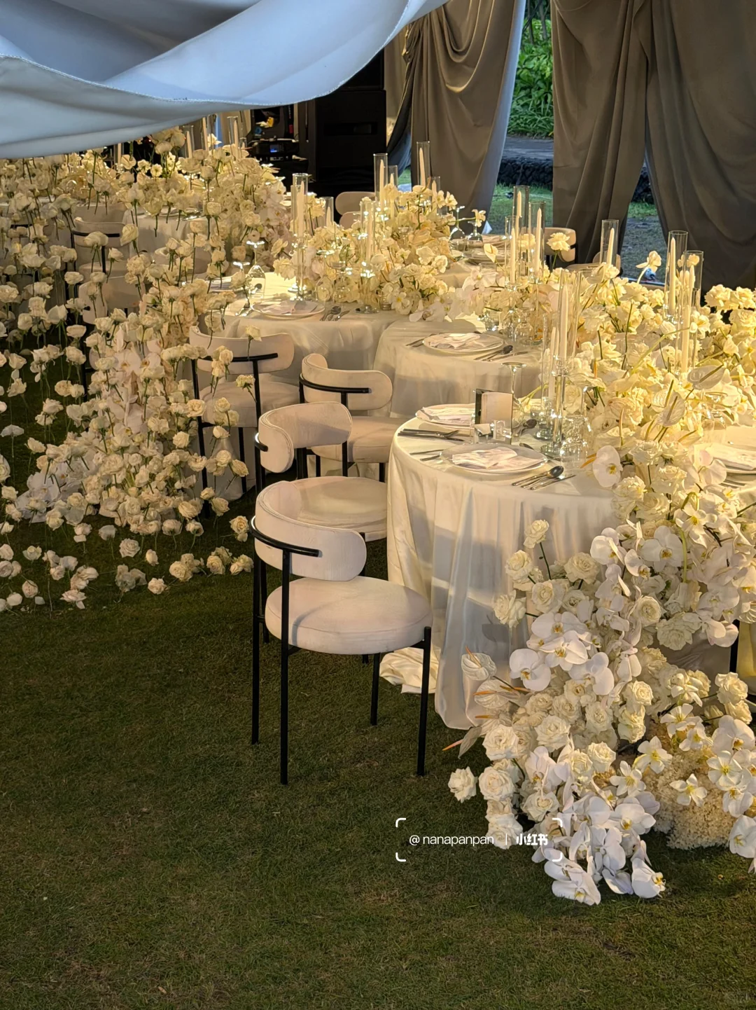 3万6千支白玫瑰绽放在巴厘岛soori的海边