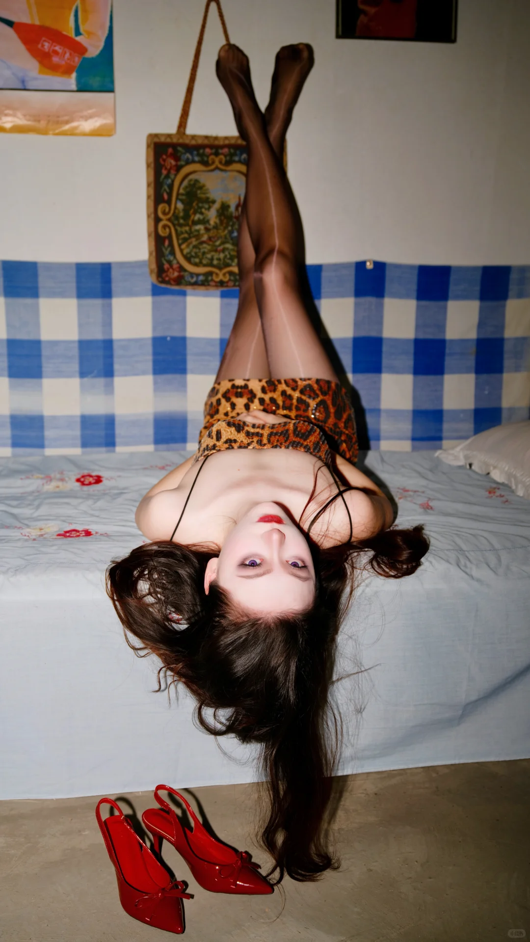 房子是出租的🌹但爱情不是