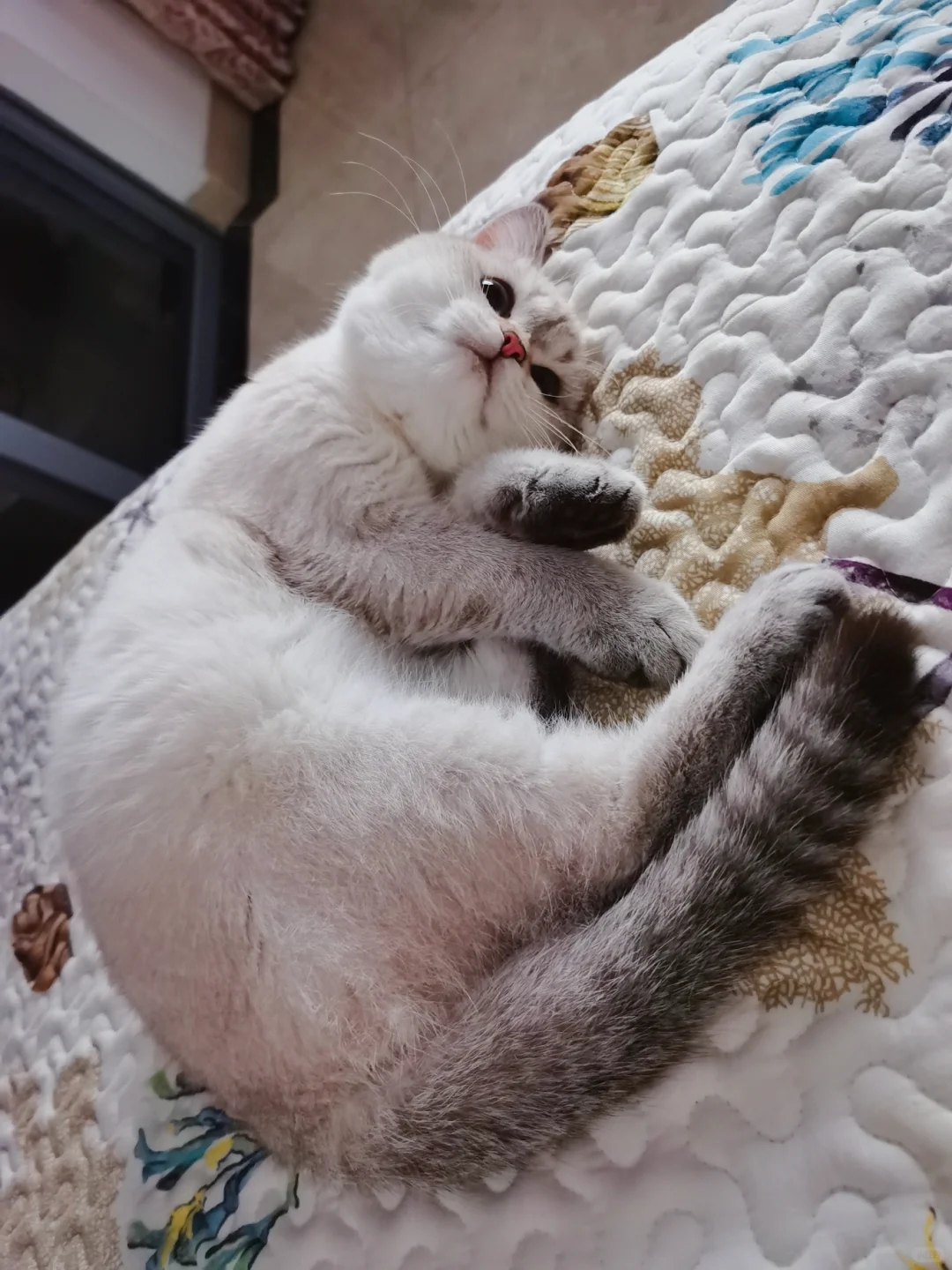 你的小可爱向你抛了个媚眼