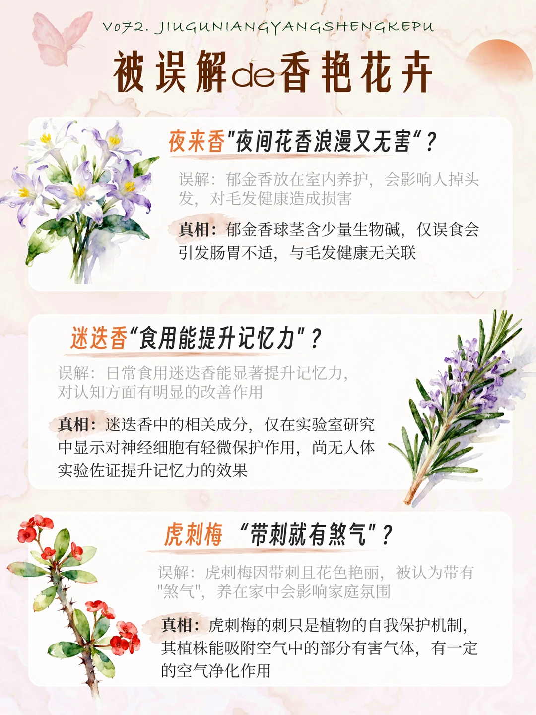 被误解的花｜16种被误解的香艳奇花