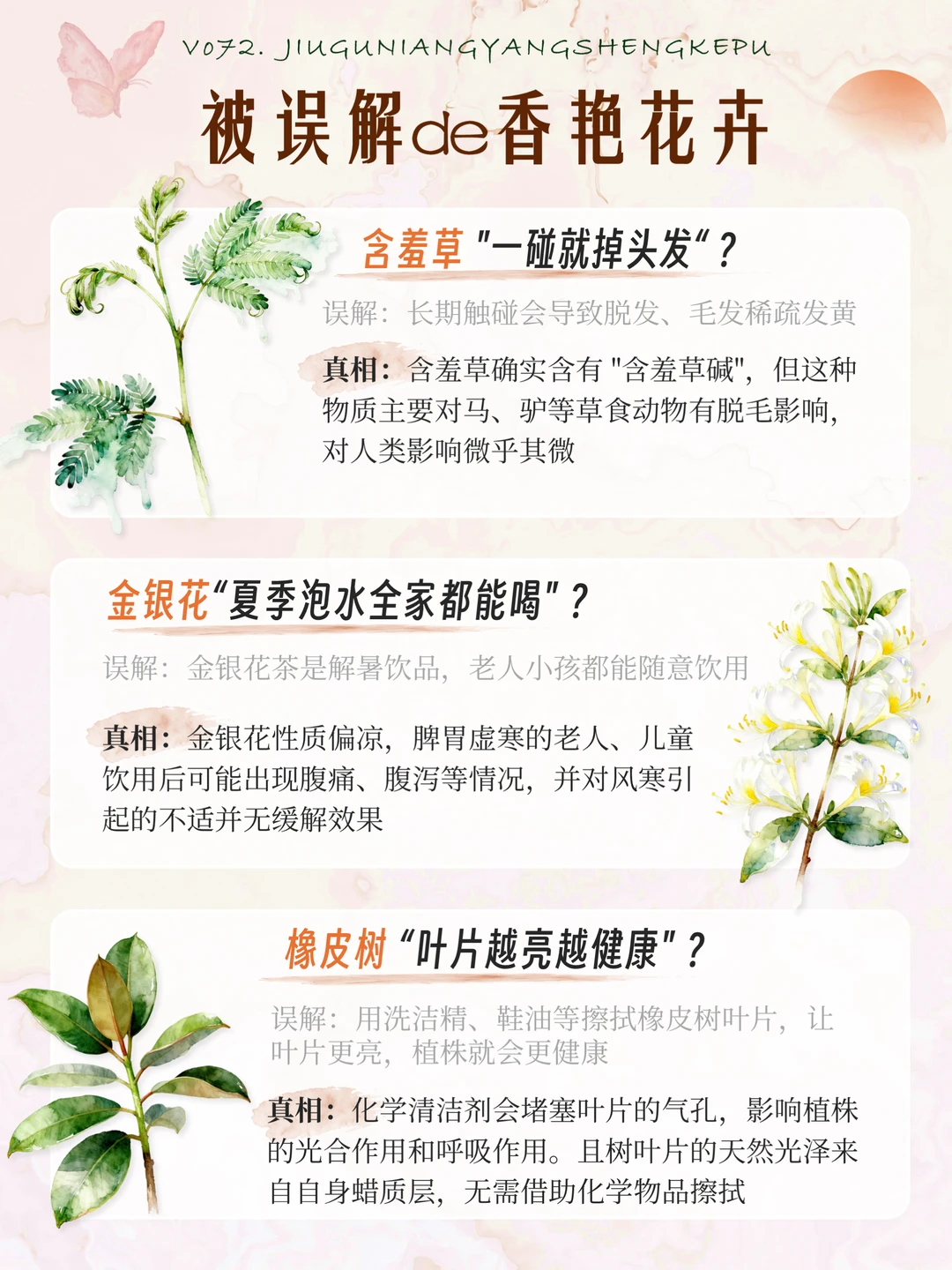 被误解的花｜16种被误解的香艳奇花