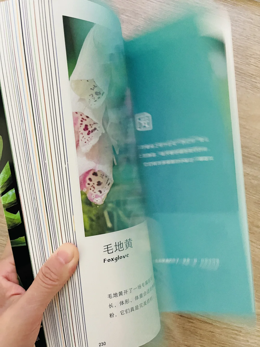 等了一年😭热销60万的小自然终于出续集了