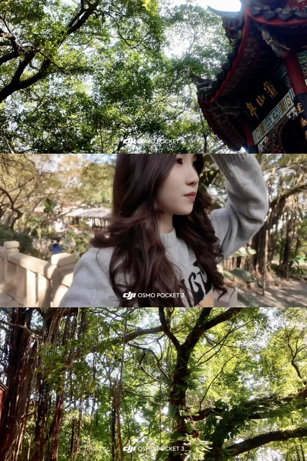 大疆pocket3📹拍出清透富士感🫧！（附参数♡.