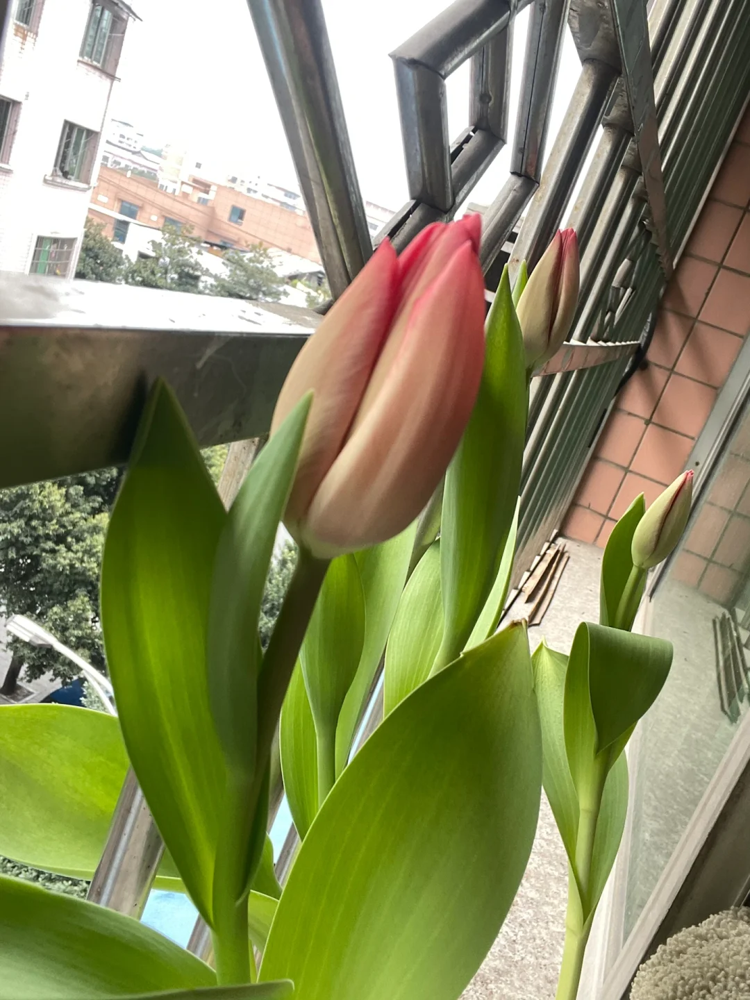 该怎么去形容你的美