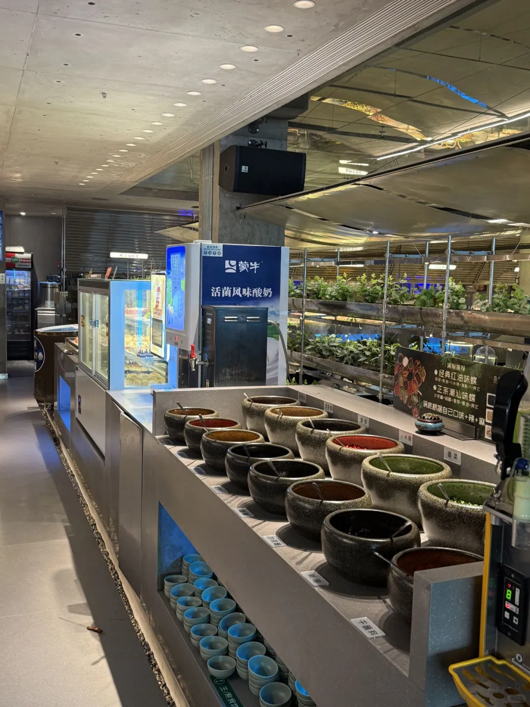 三文鱼随便炫，甜虾无限续太豪横！