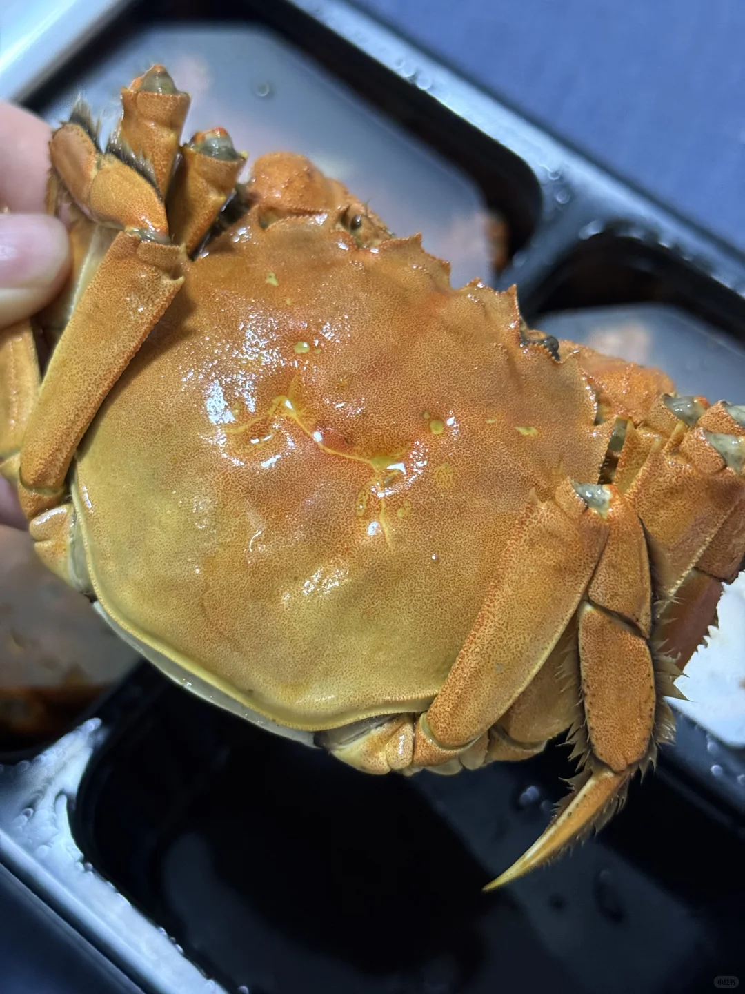 推荐冷吃的熟醉蟹，山姆新品！
