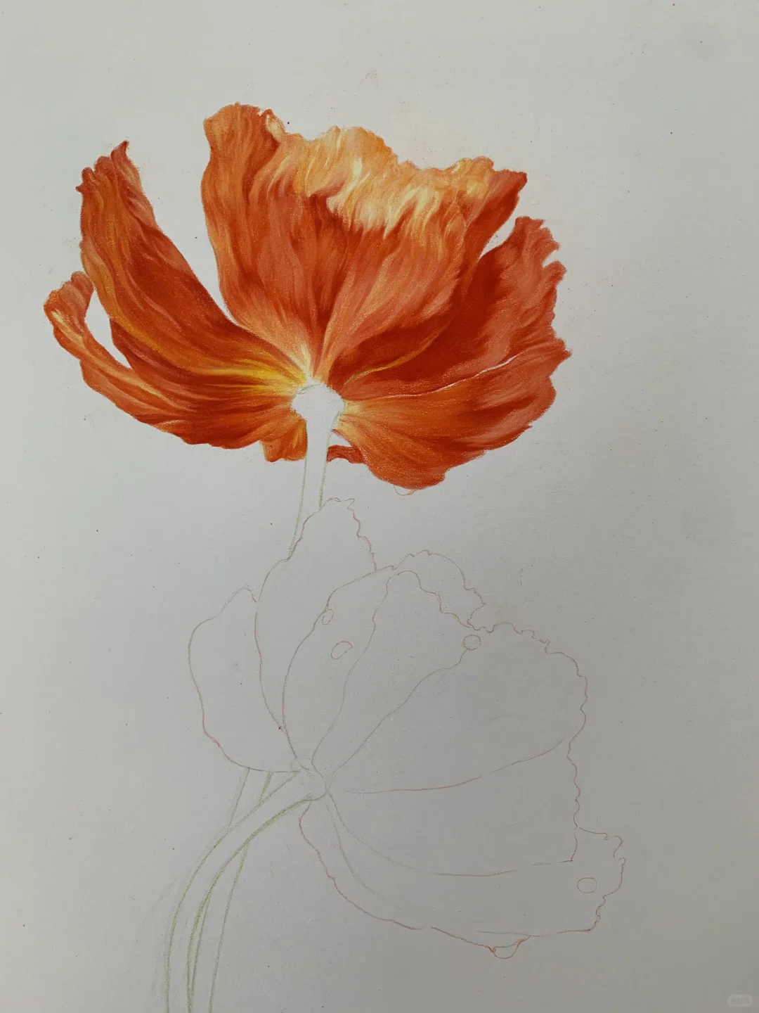 完成✅这次认真记录了画的步骤