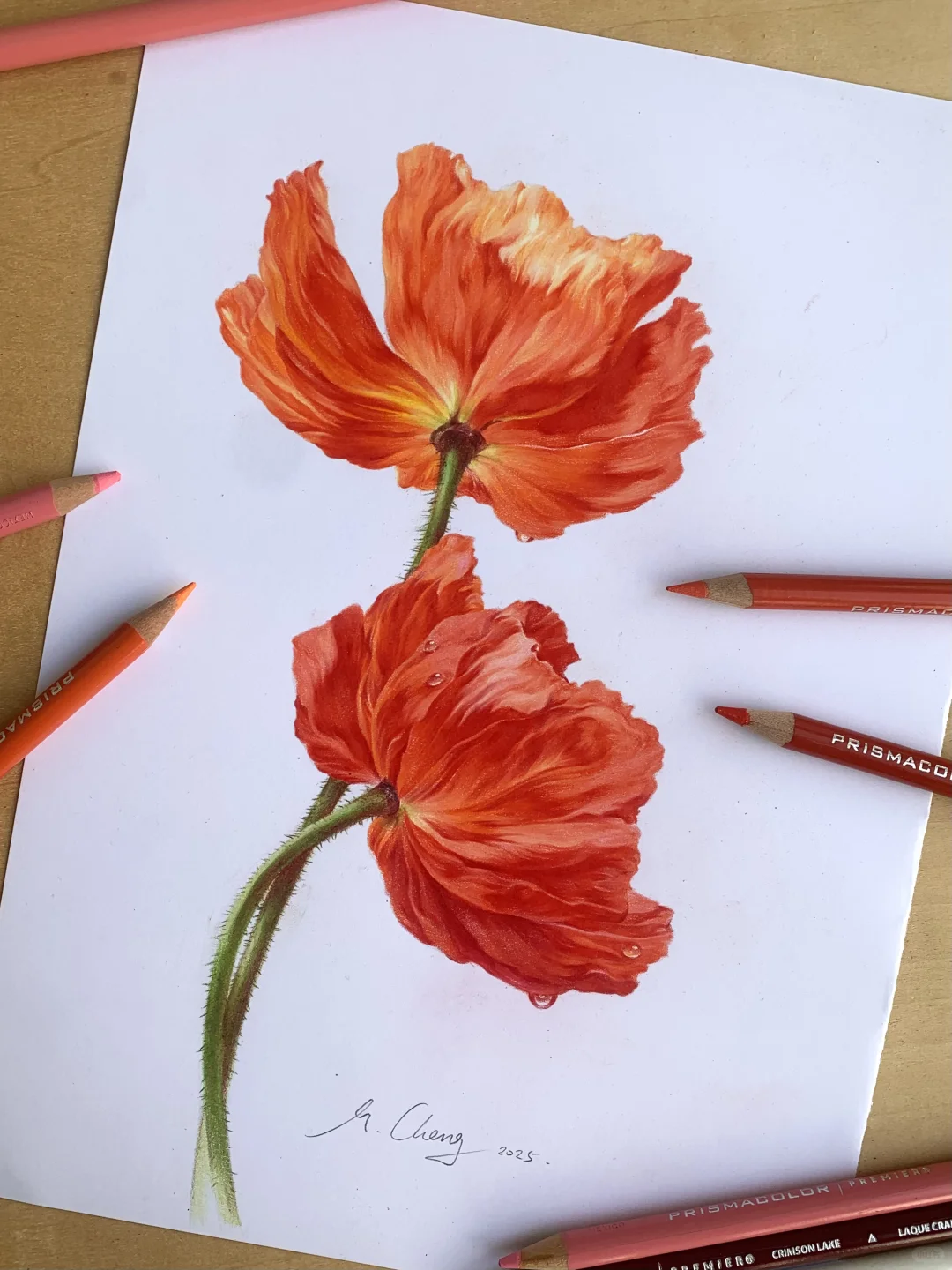 完成✅这次认真记录了画的步骤