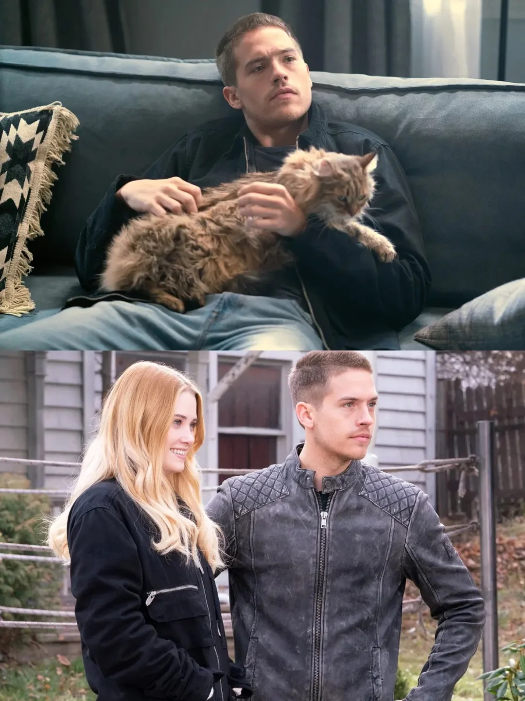 尺度与颜值齐飞‼️外国人也爱看玛丽苏电影