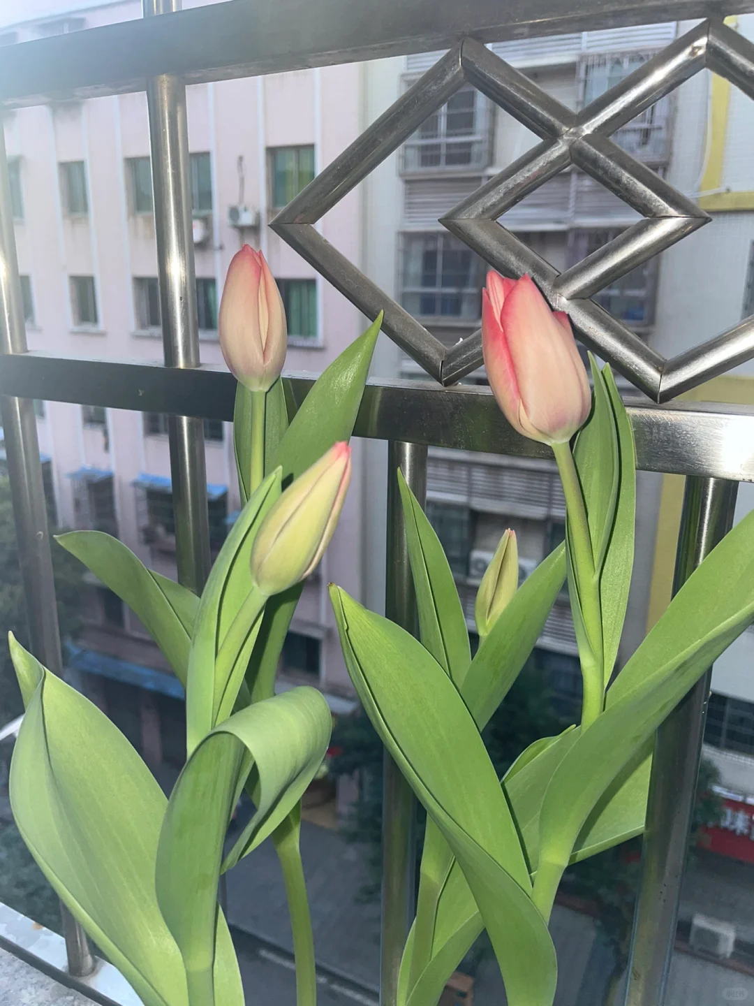 该怎么去形容你的美