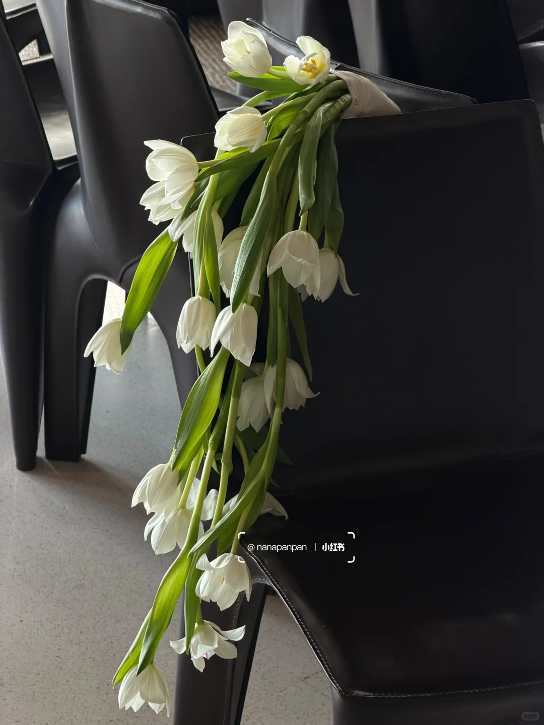 3万6千支白玫瑰绽放在巴厘岛soori的海边