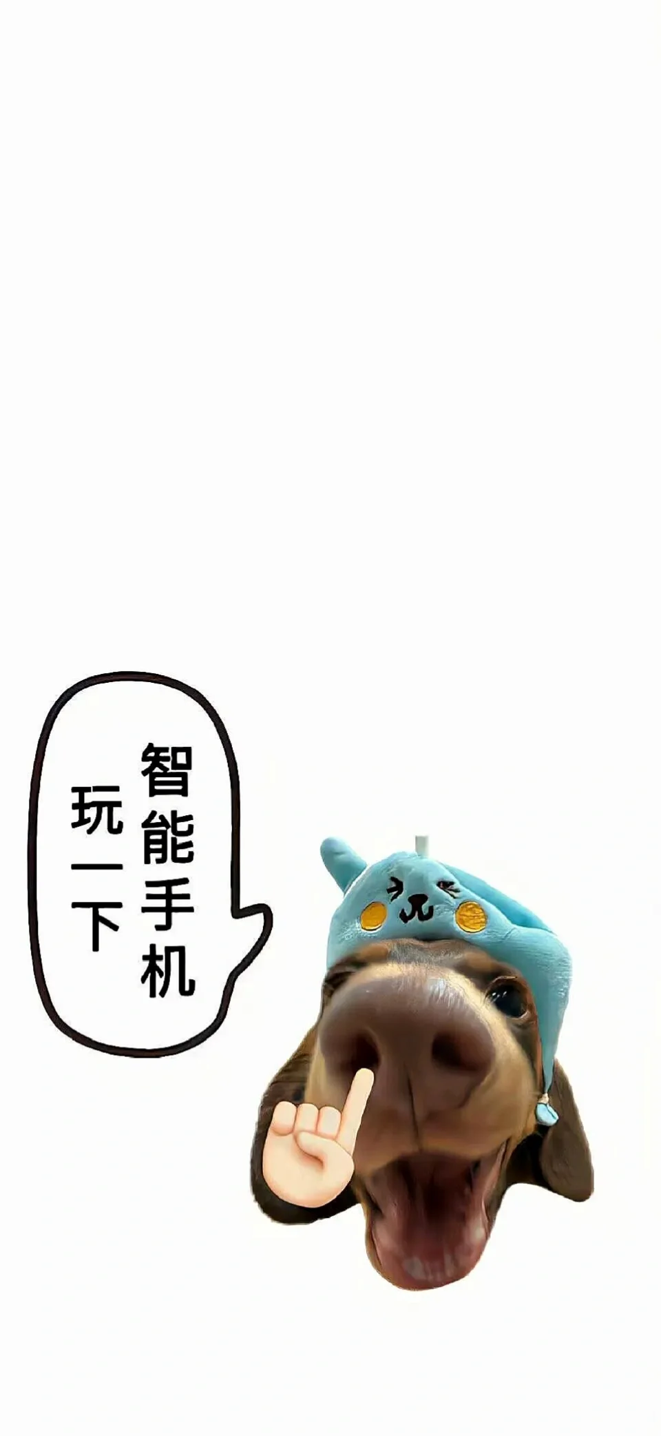 🍧Share｜腊肠狗