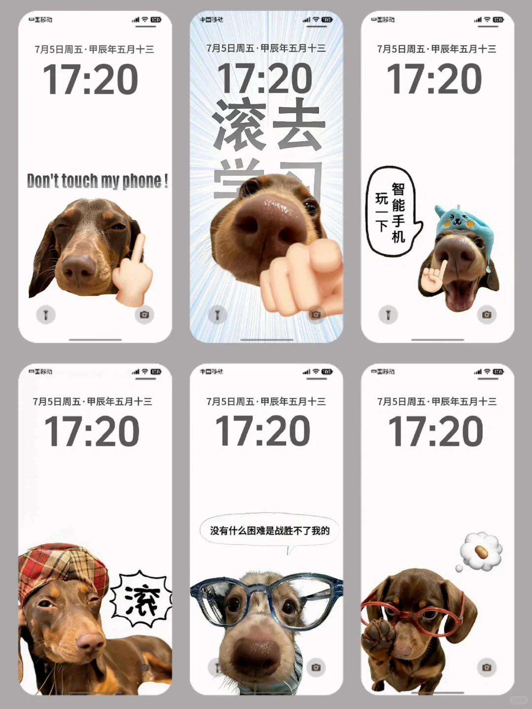 🍧Share｜腊肠狗