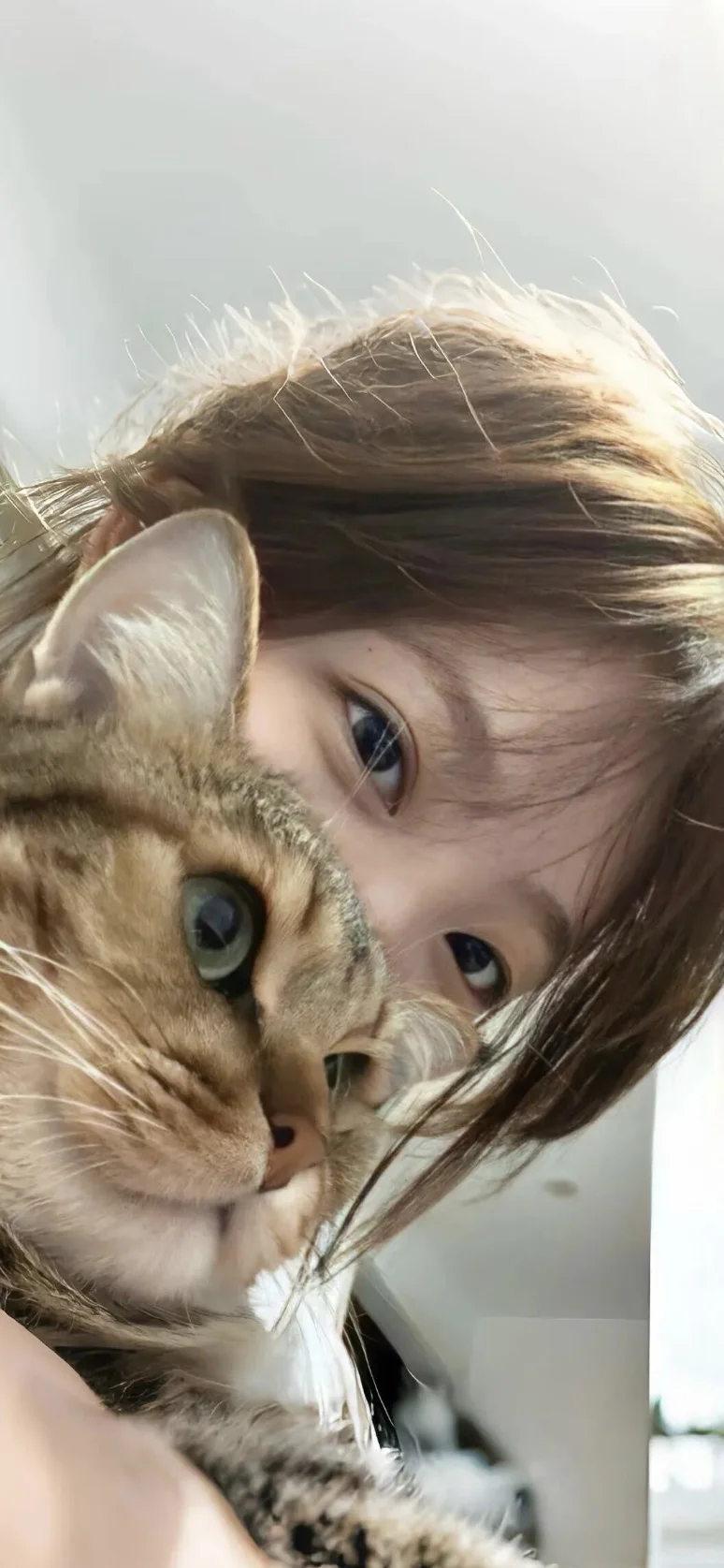 氛围感壁纸！高质量