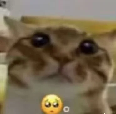 求天使女博带带官服粥小登（我是女生