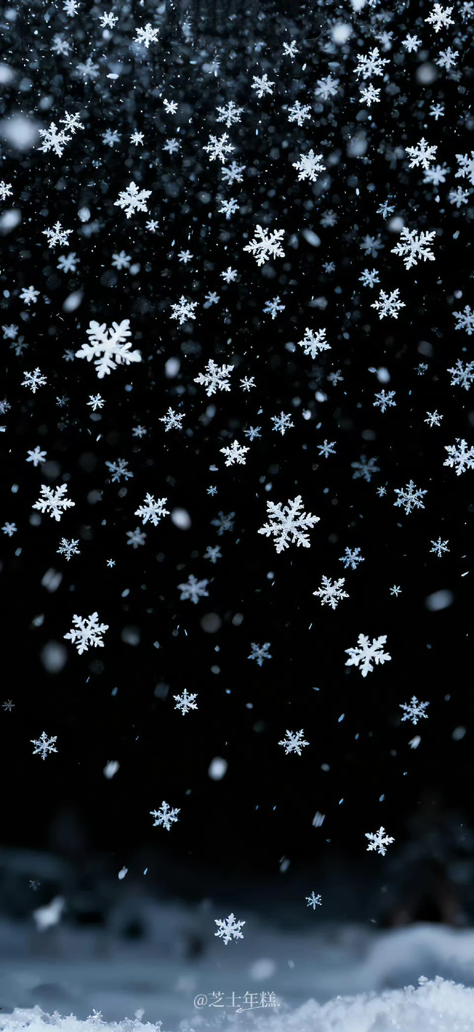 ❄️Share | 雪花壁纸