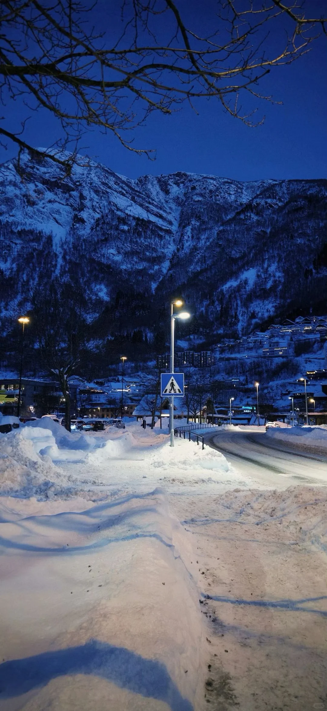 𝙎𝙝𝙖𝙧𝙚壁纸