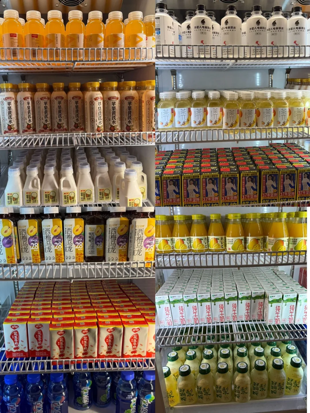 一站式承包全家的快乐，谁来都能玩到不想走！