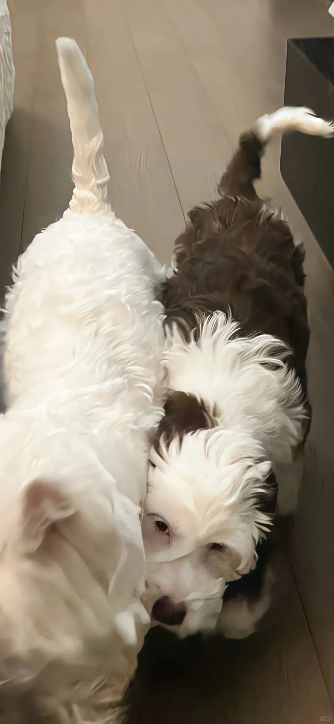 冬日氛围感4k手机壁纸