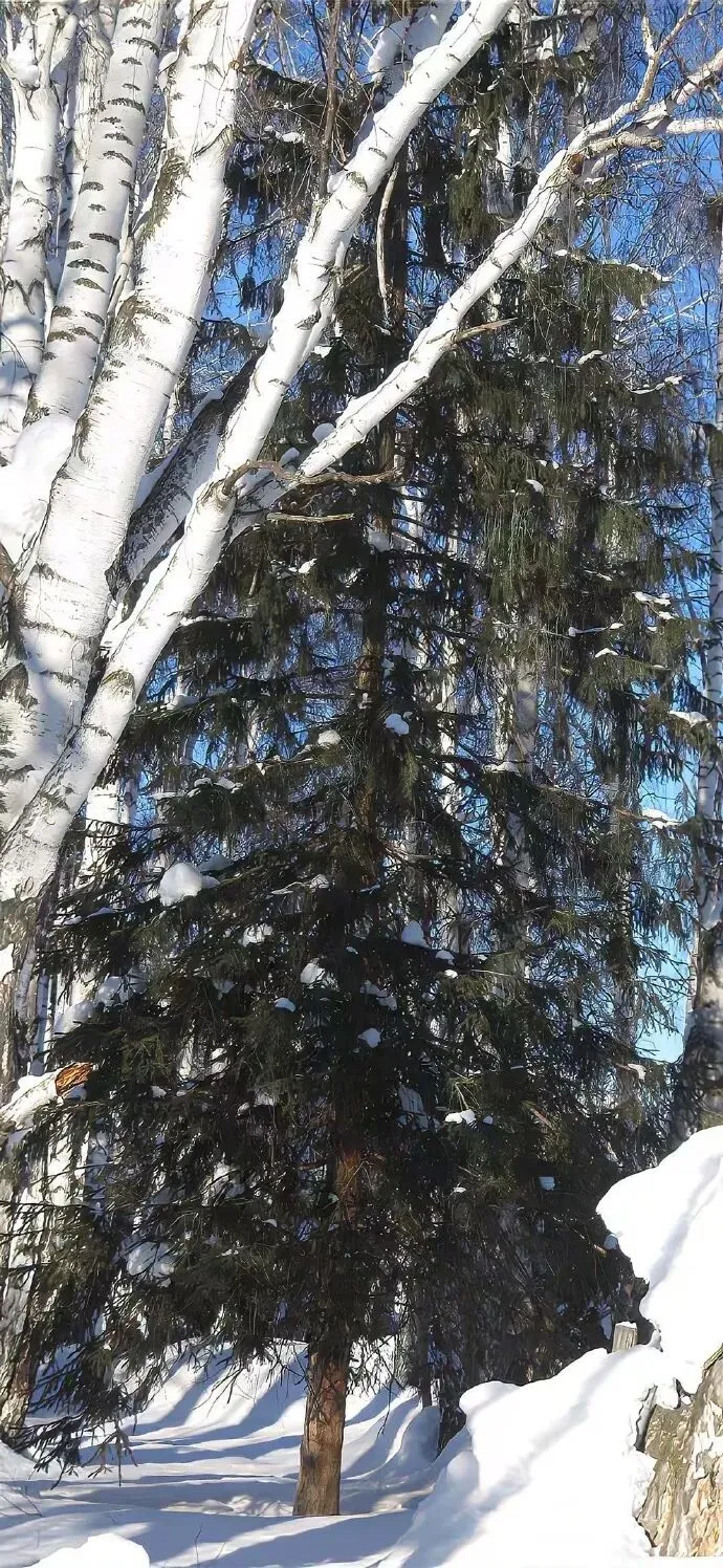 冬日氛围感4k手机壁纸