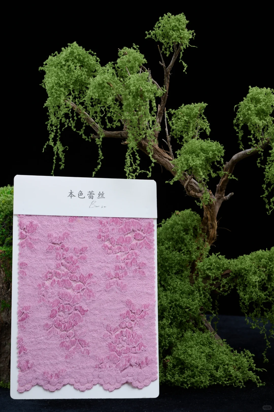 这种质感的花真的爱了|秋冬蕾丝的魅力✨