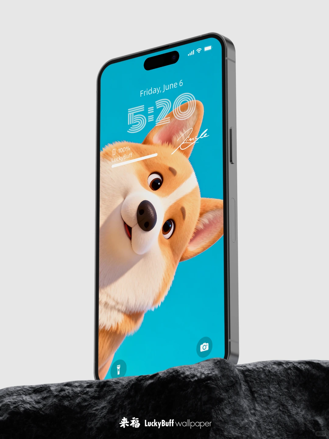 超治愈的柯基狗狗壁纸来咯～