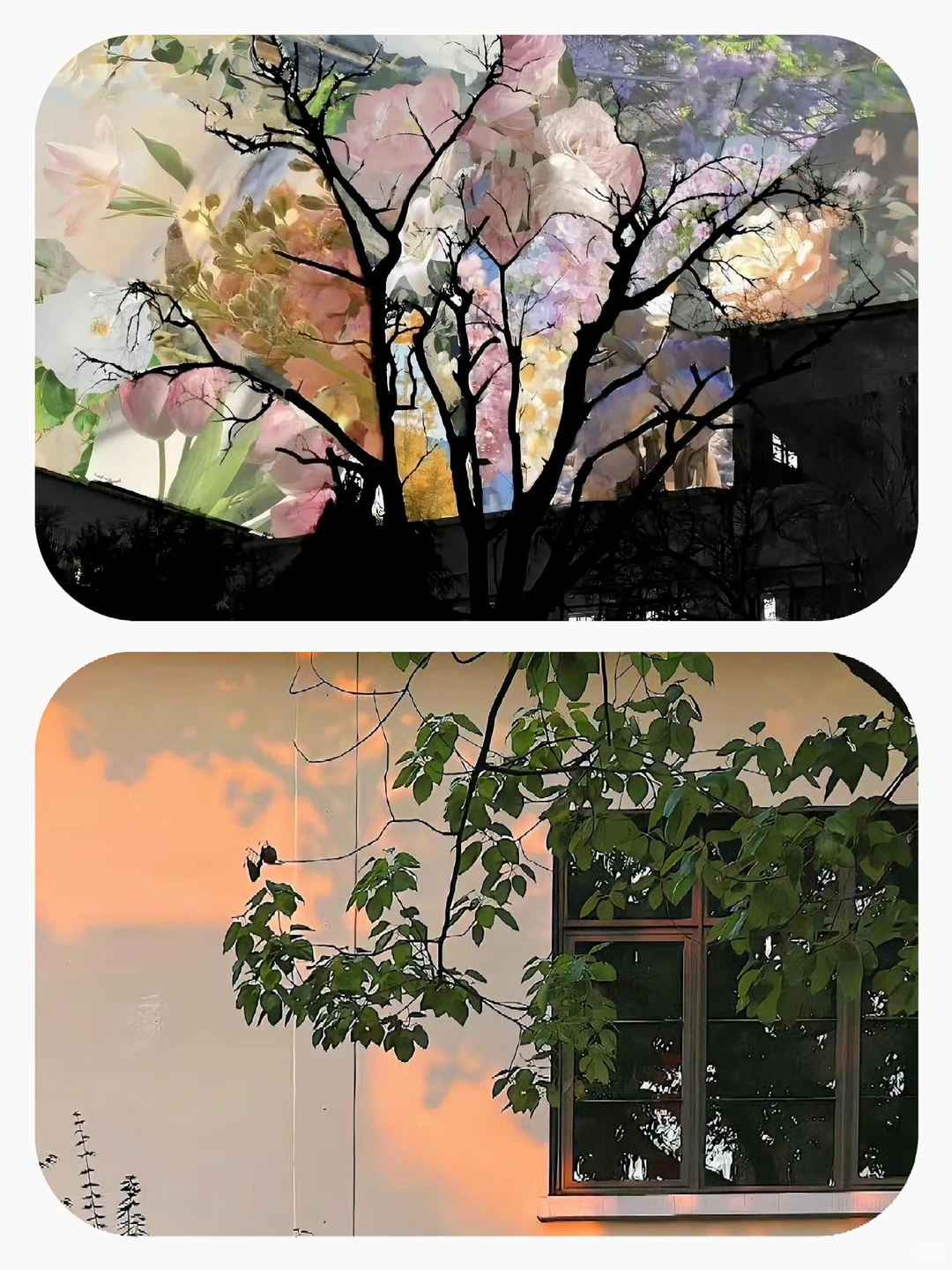 Share｜12张背景图