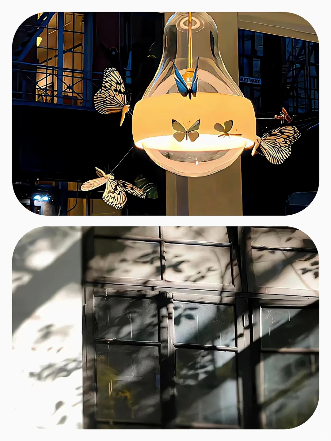 Share｜12张背景图