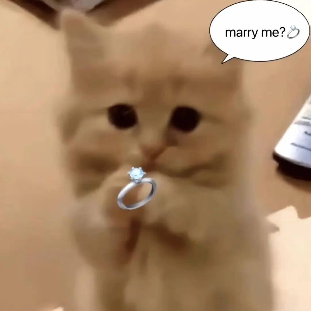 公主表情包收下啦～ 主页取图