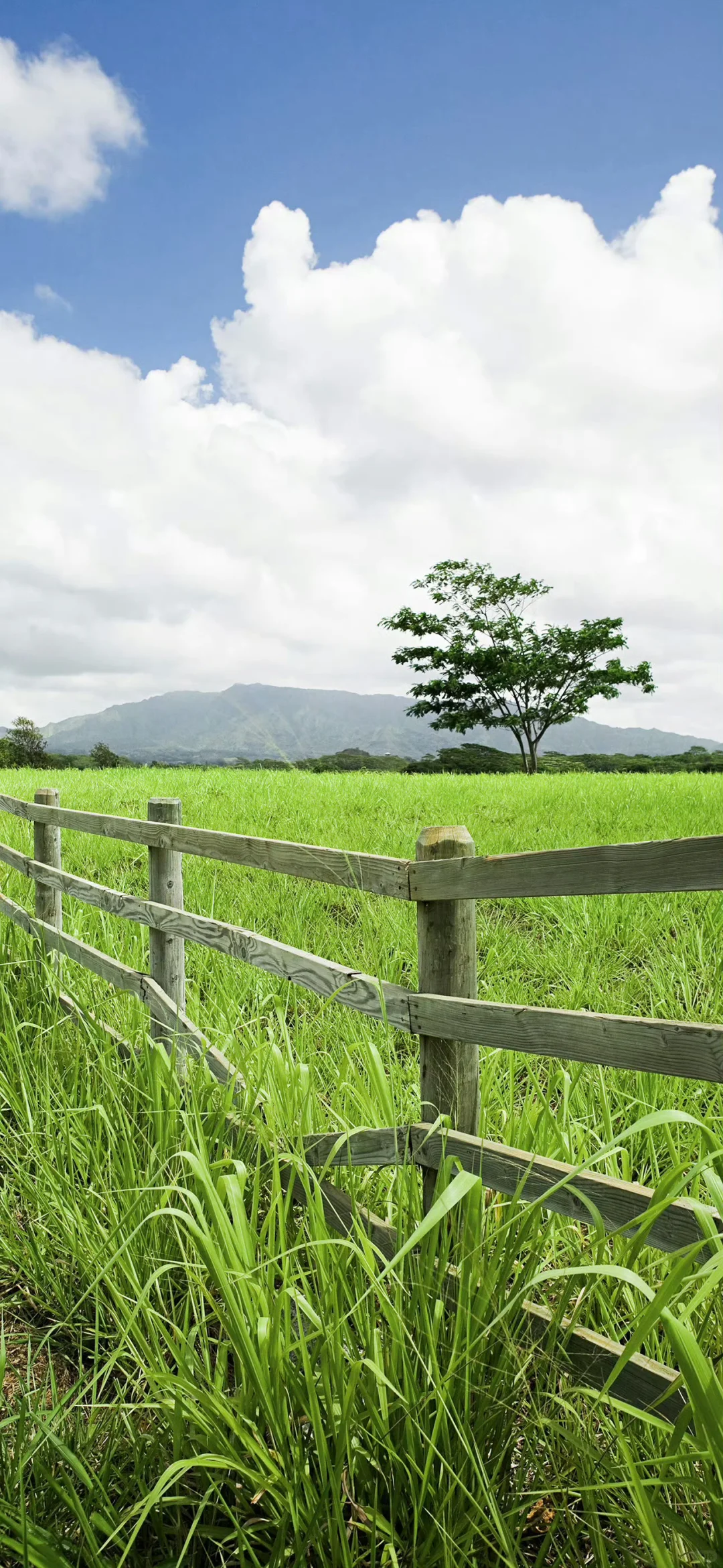 14张治愈系手机壁纸，治愈你的所有不开心！