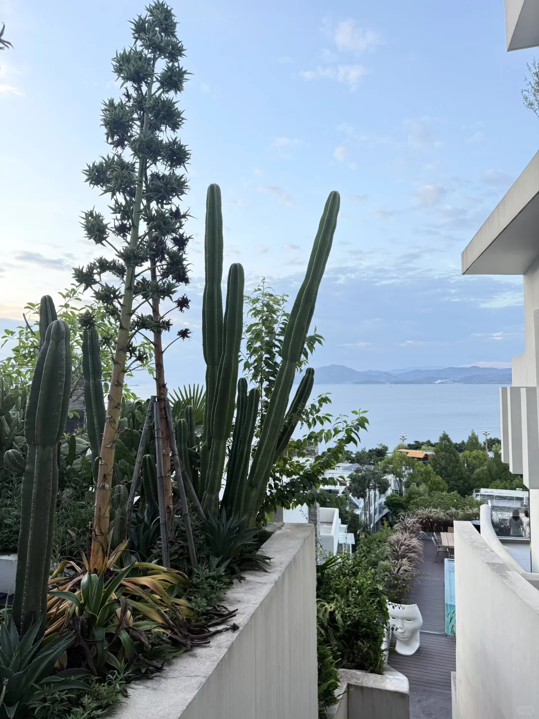 当我决定只穿给我自己看 黑色沉默🖤