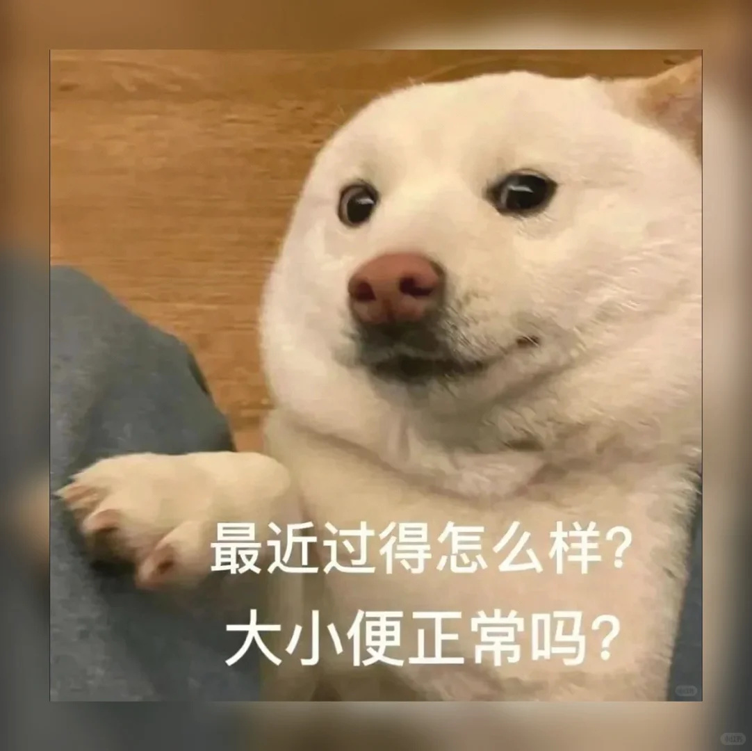 萌到犯规！🔥私藏99组治愈系聊天表情包，