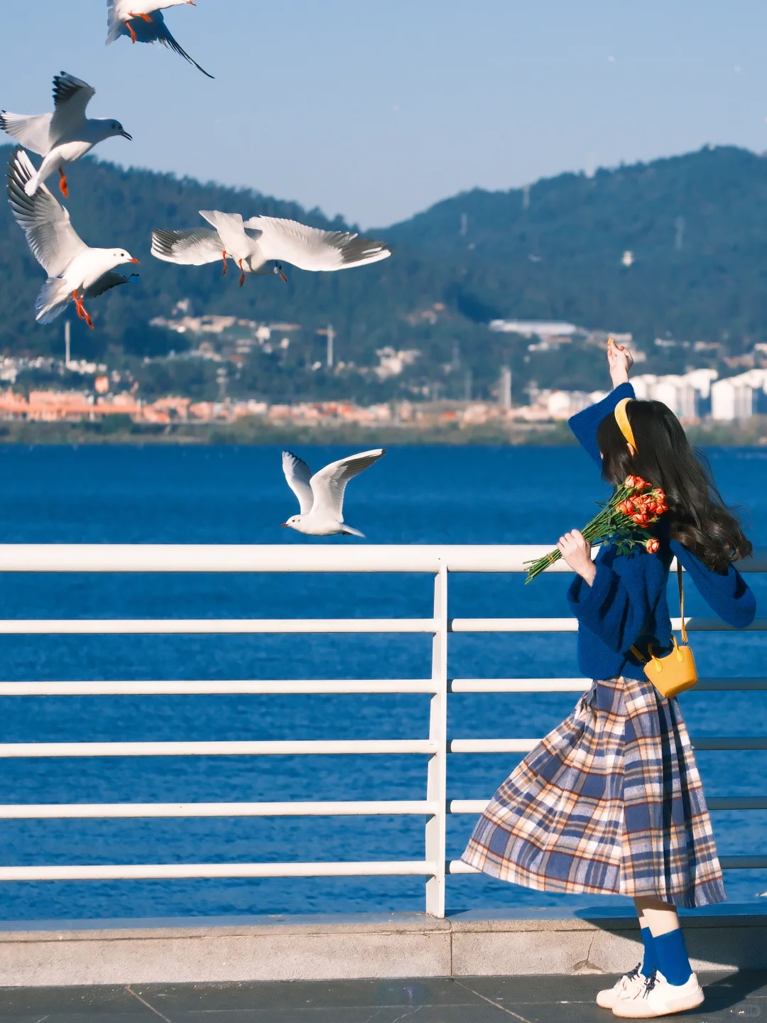 海边拍照 蓝调时刻🎞️冬天与海鸥都如约而至