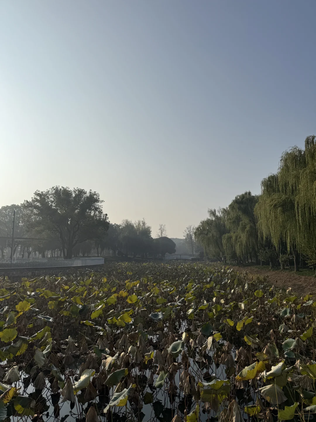 图片壁纸 分享随手拍