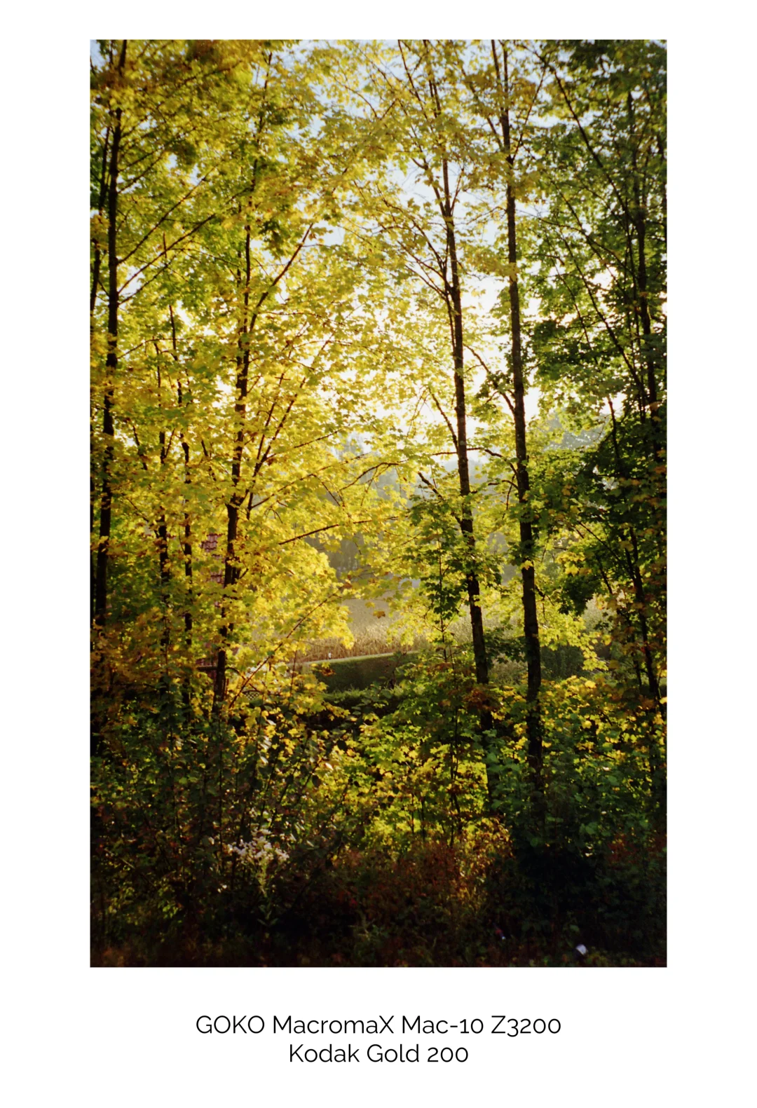 胶片傻瓜机拍私房🎞️亲密的那种