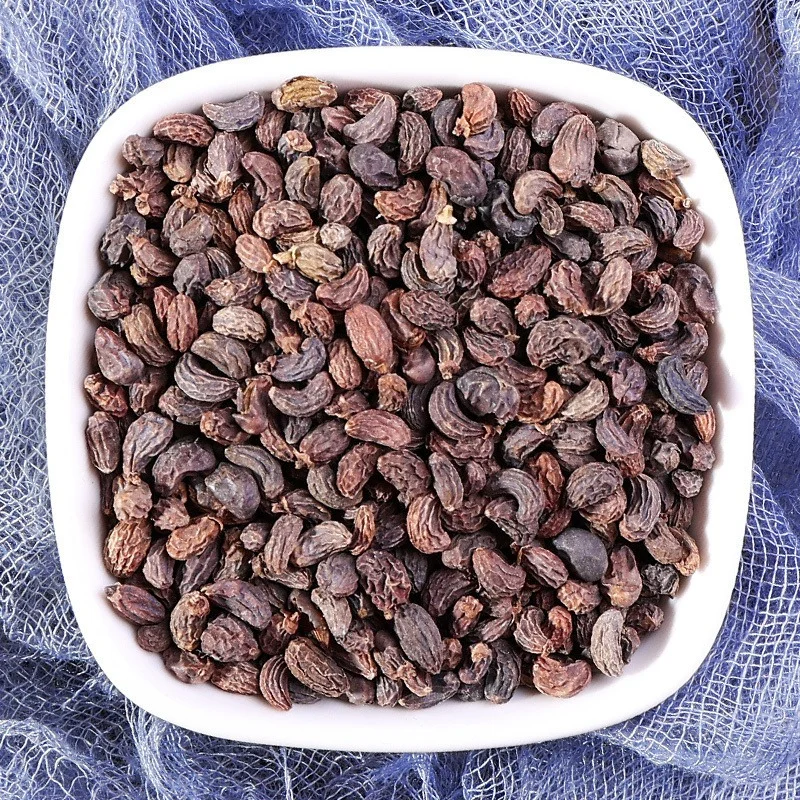 女贞子墨旱莲，养生茶饮新选择🍃