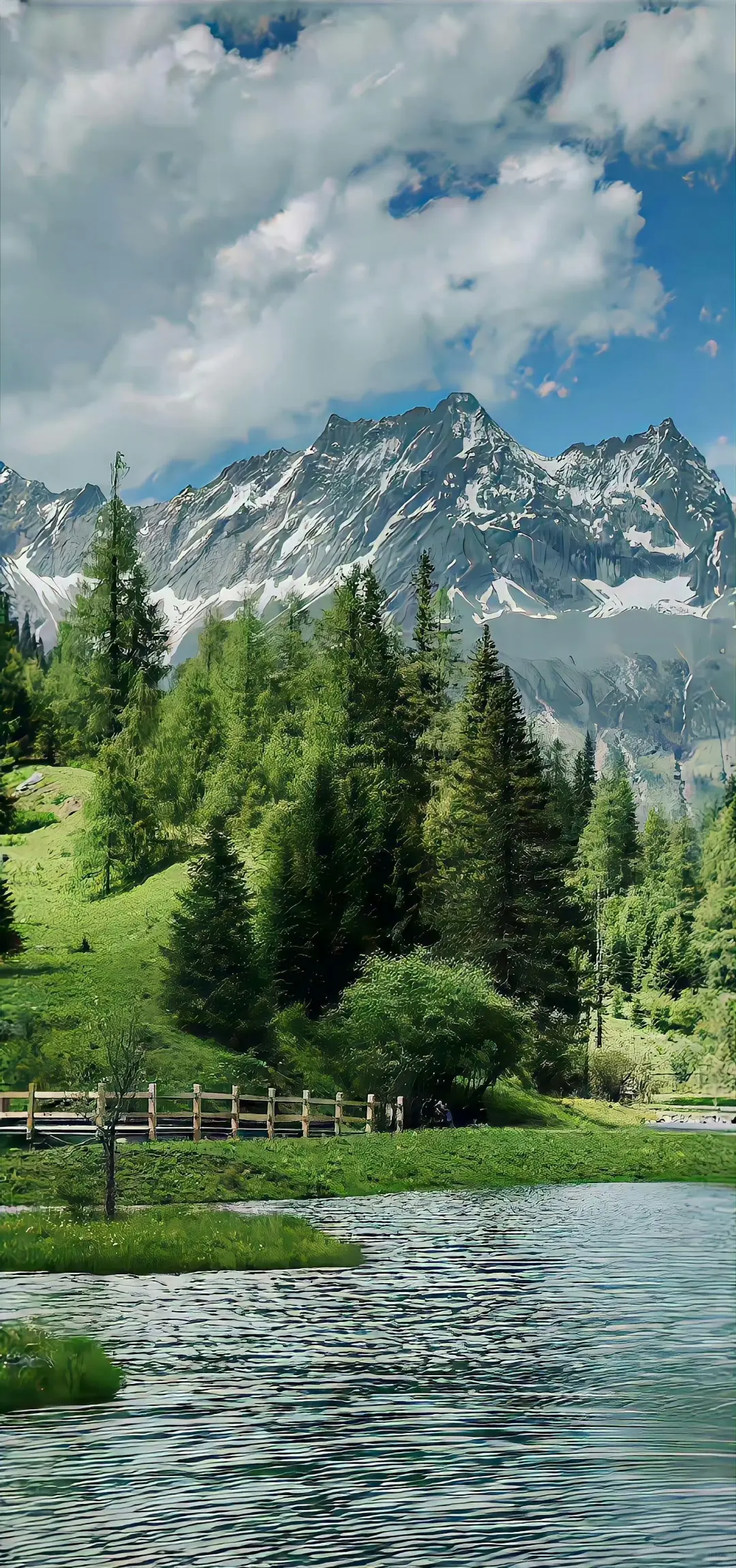 绿色系壁纸|真的好喜欢绿色