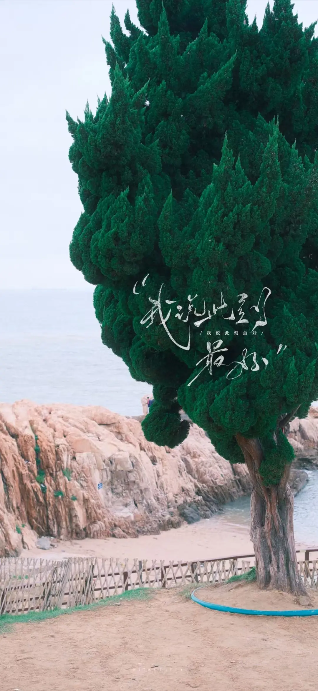 无论几点 都是好好生活的起点#励志壁纸