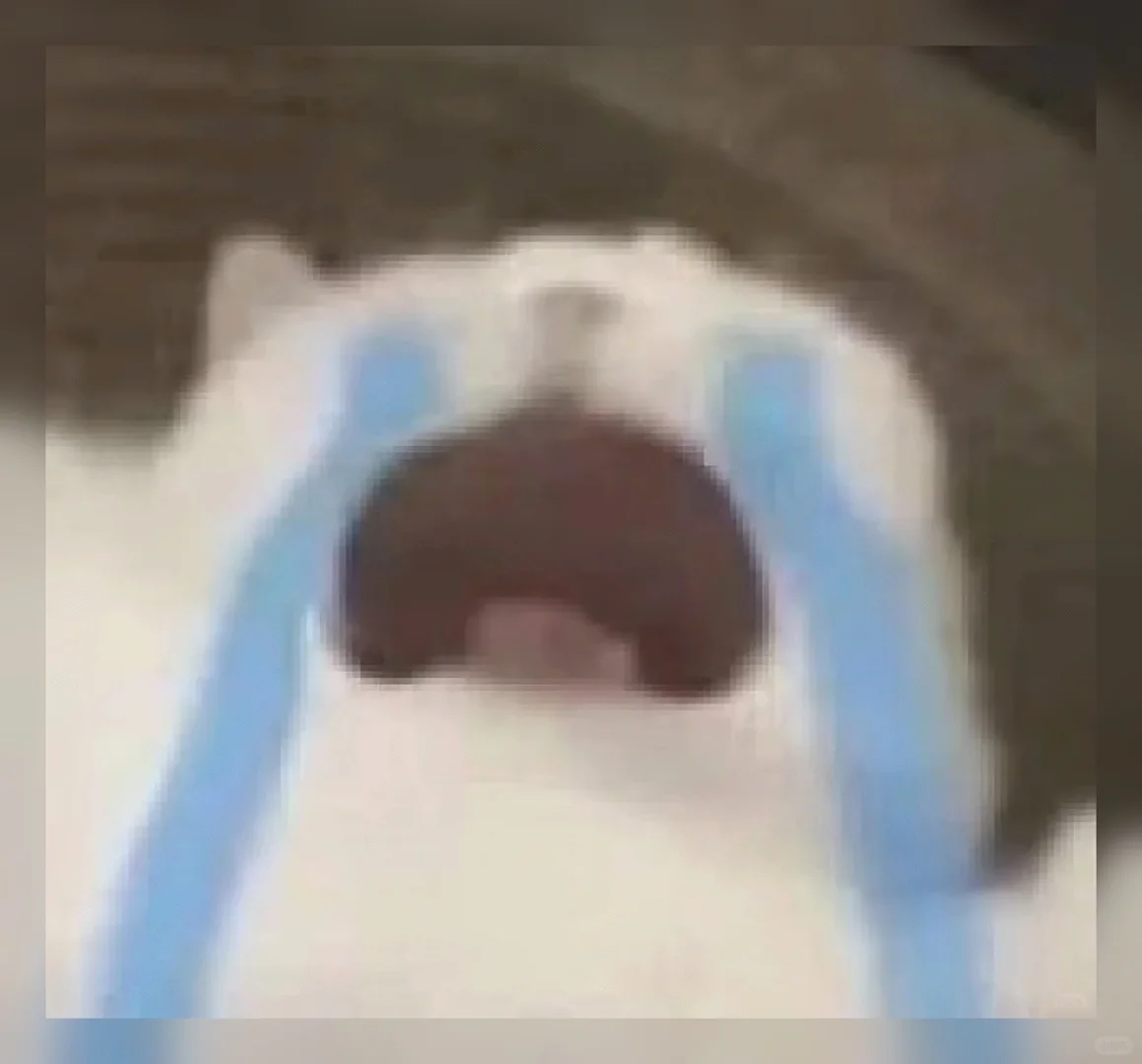 萌到犯规！🔥私藏99组治愈系聊天表情包，