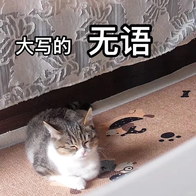 秋秋表情包第一弹