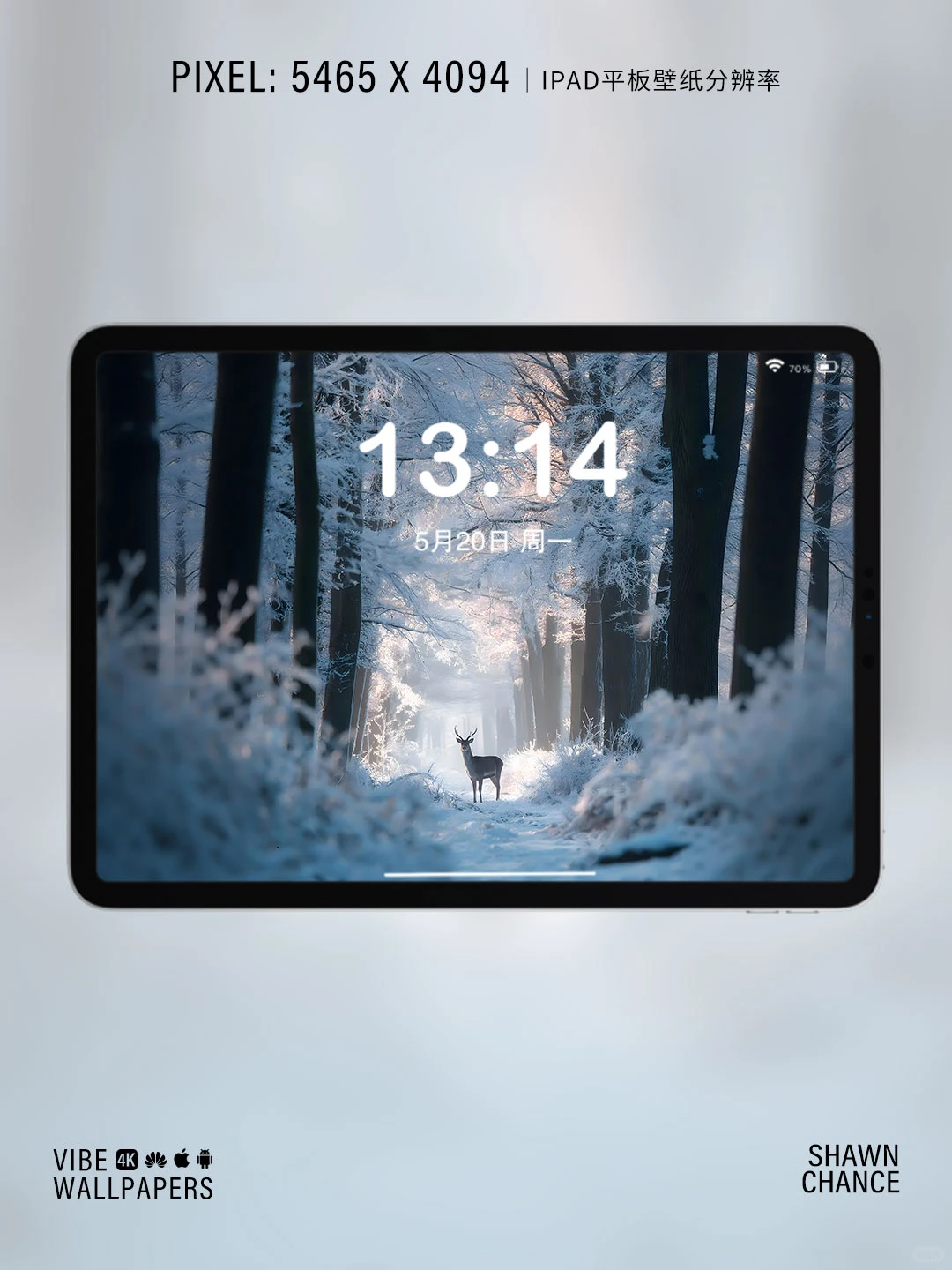 🦌雪林中的鹿，氛围感直接拉满～