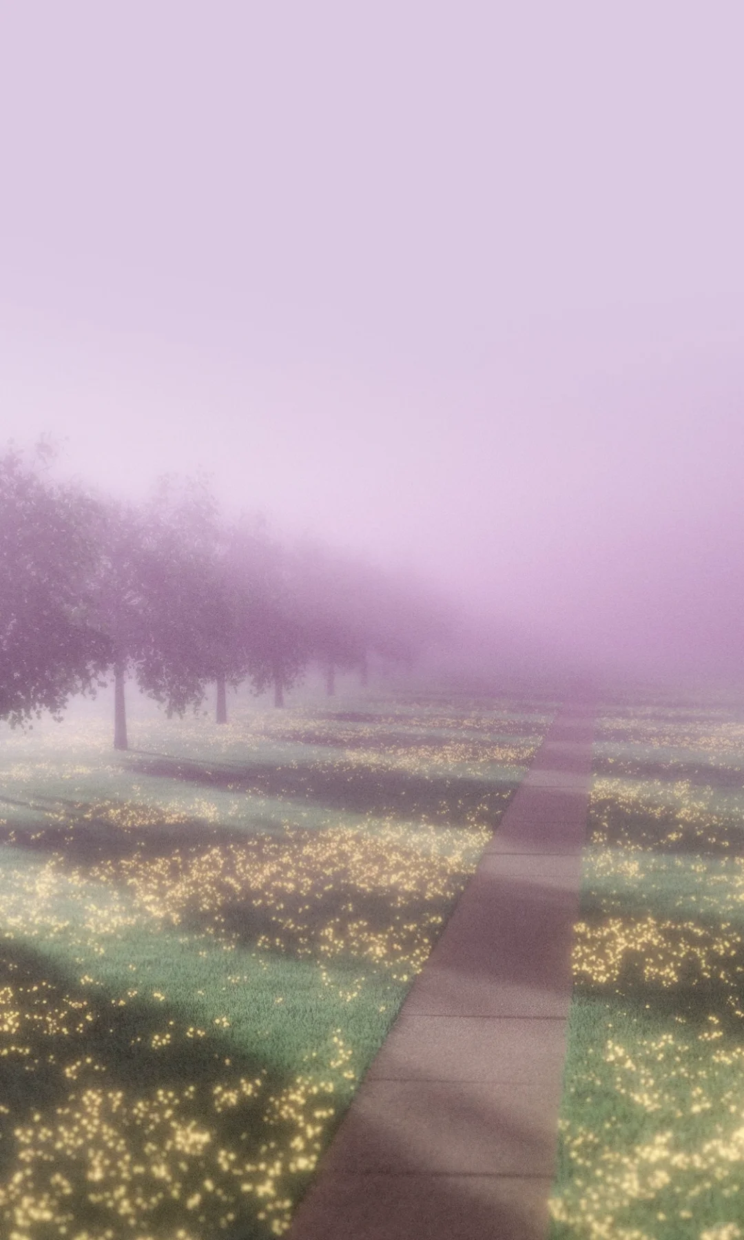 分享一组舒适美学壁纸📱