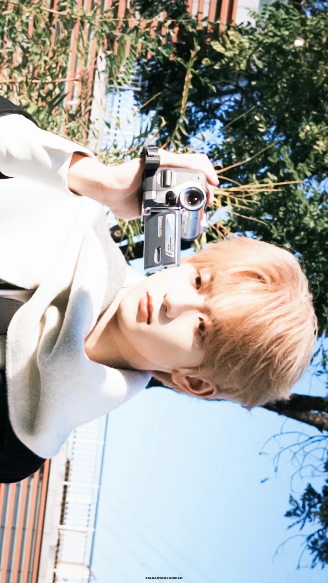 Share壁纸｜阳光下☀️