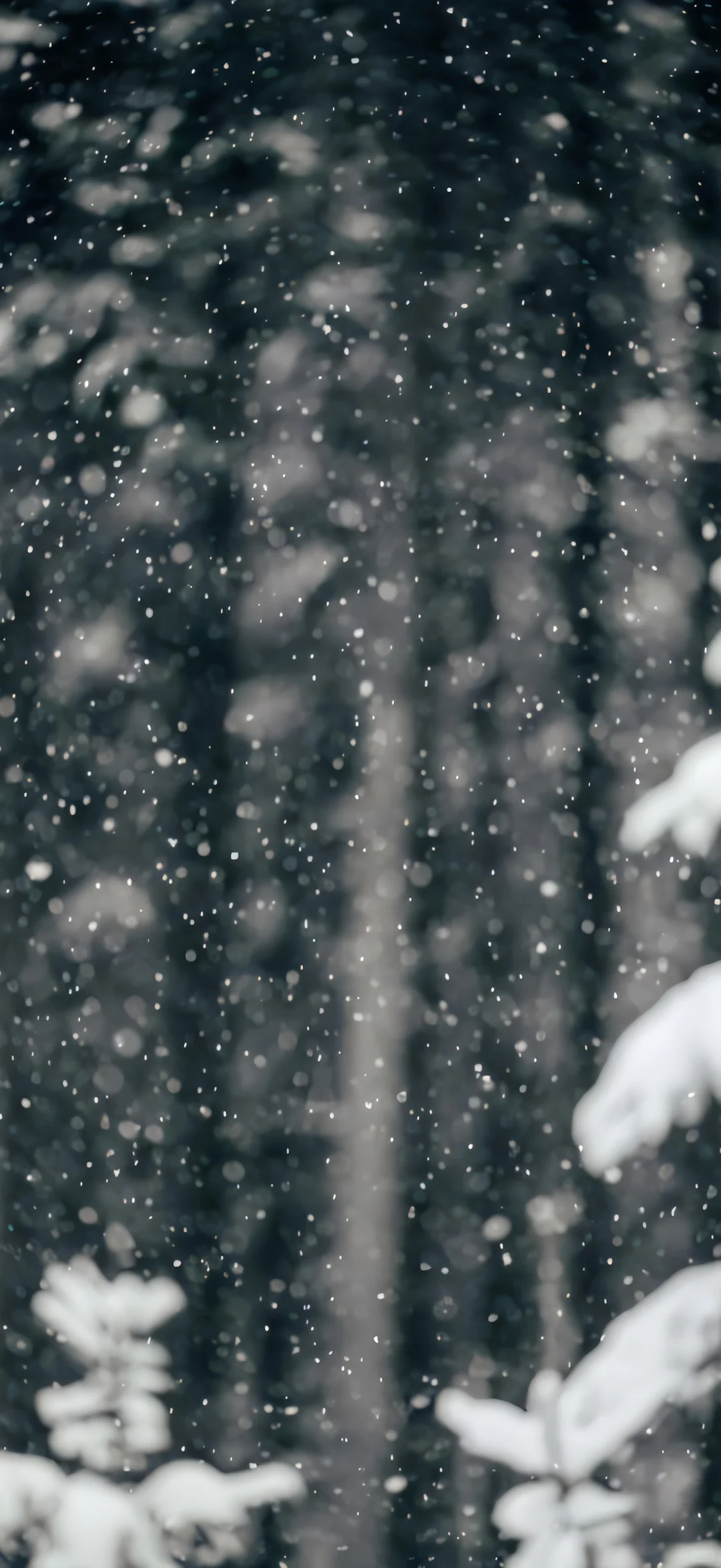 14张「神仙壁纸」让你的手机桌面美到犯规！