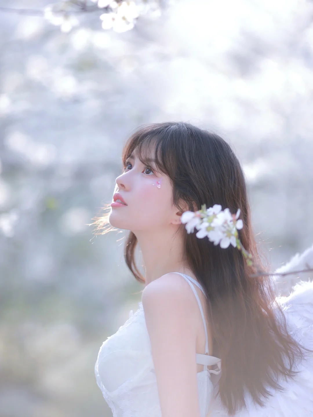 你的小天使降临啦！ 樱花天使写真