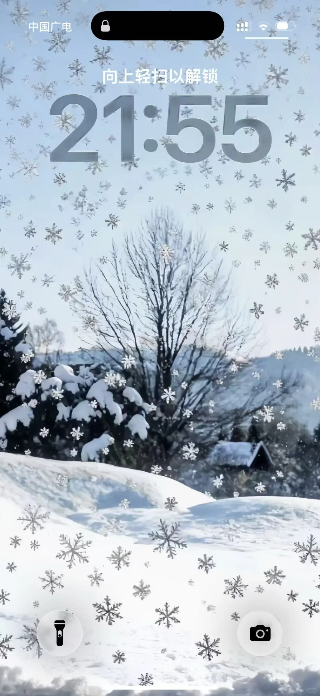 12.06 iPhone壁纸｜冬日雪花❄️